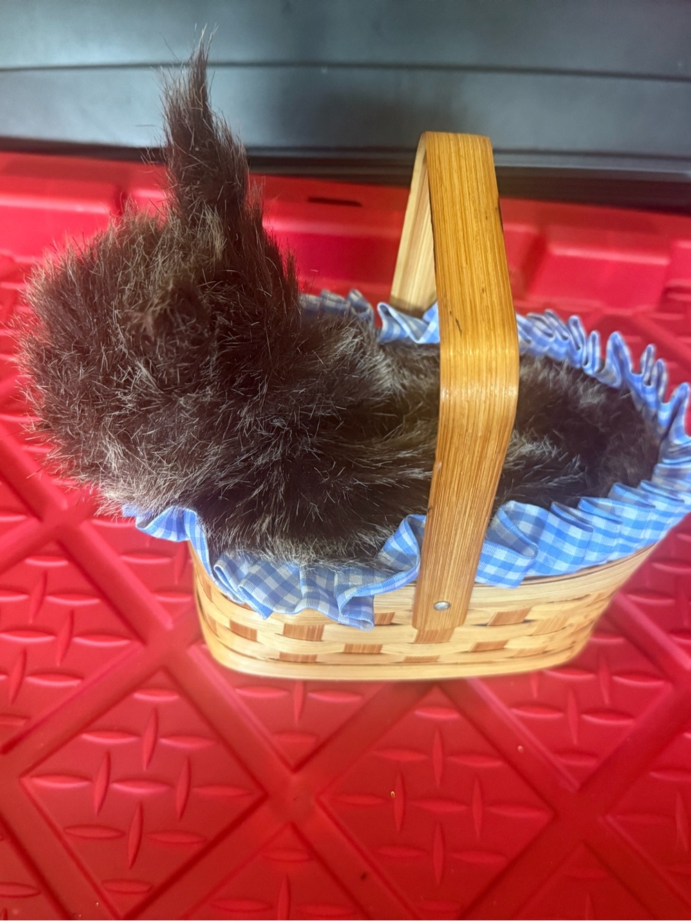 🐶 Toto dog basket wizard of oz Dorothy Halloween cosplay costume accessory